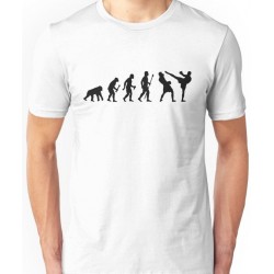T-shirt Kickboxing evolution - cadeau homme