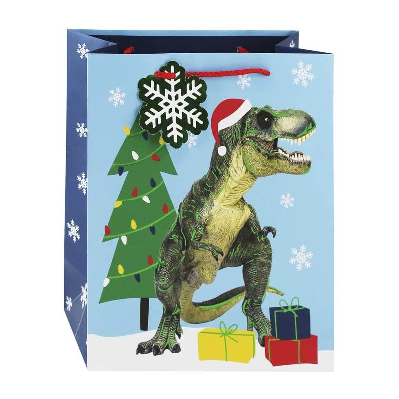 Sac cadeau moyen 21,5x10,2x25,3 cm, Dinosaure avec étiquette message