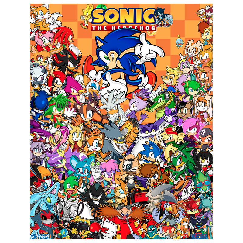 Affiche Sonic - Poster avec cadre tableau